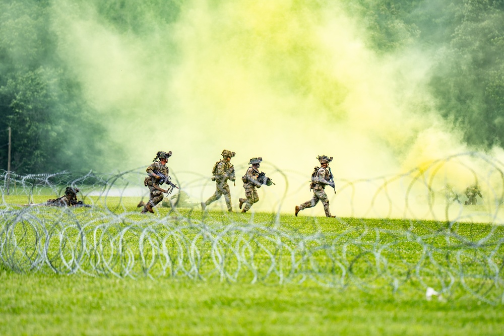 101st Airborne Division Air Assault Demonstration