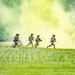 101st Airborne Division Air Assault Demonstration