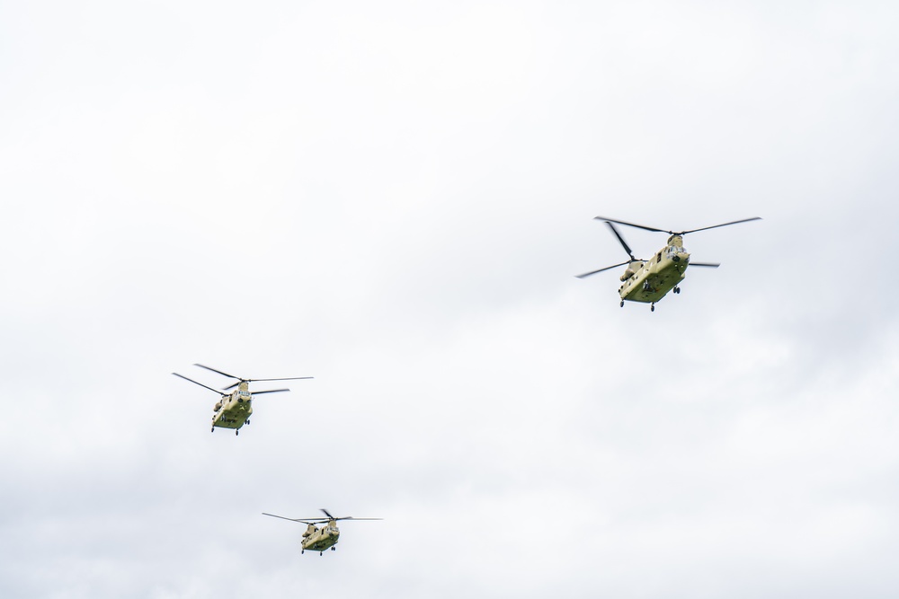 101st Airborne Division Air Assault Demonstration