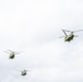 101st Airborne Division Air Assault Demonstration
