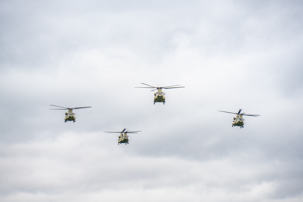 101st Airborne Division Air Assault Demonstration