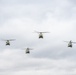 101st Airborne Division Air Assault Demonstration