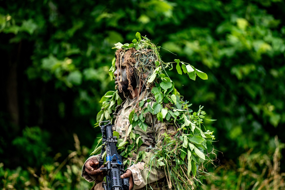 101st Airborne Division Air Assault Demonstration