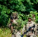 101st Airborne Division Air Assault Demonstration