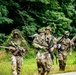 101st Airborne Division Air Assault Demonstration