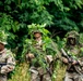 101st Airborne Division Air Assault Demonstration