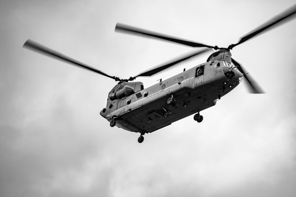 101st Airborne Division Air Assault Demonstration
