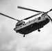 101st Airborne Division Air Assault Demonstration