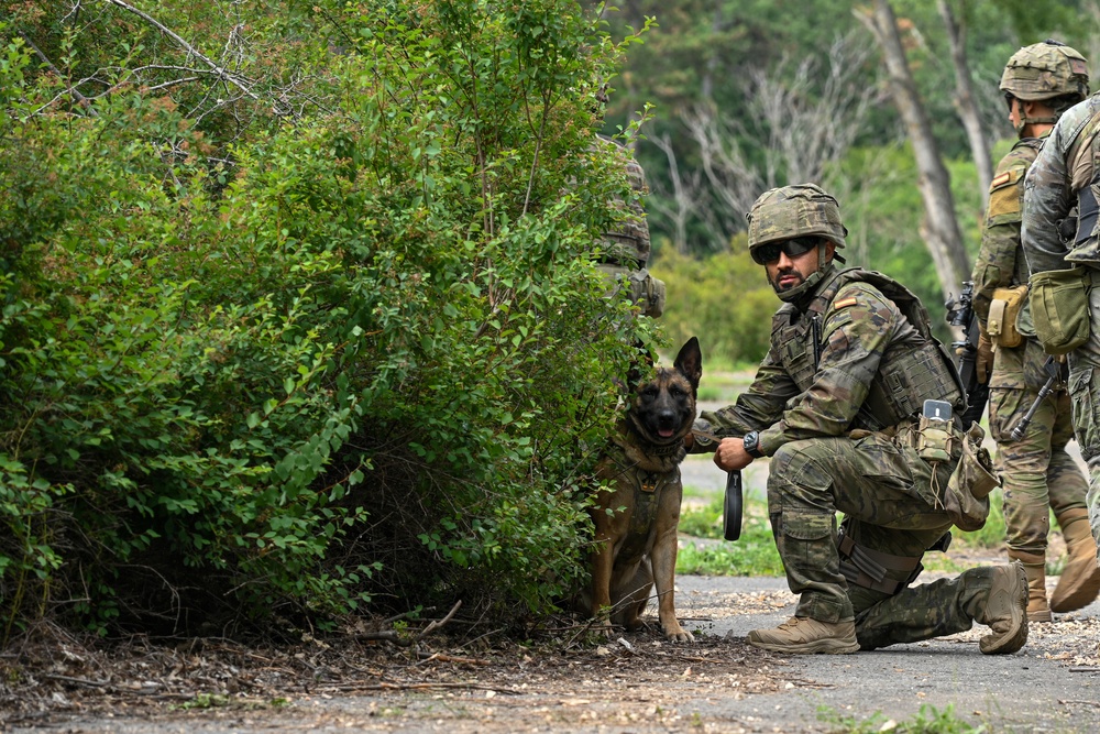 Saber Guardian 25: Urban Operations Training