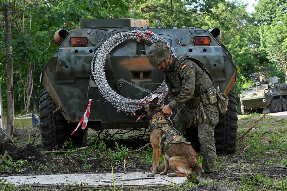 Saber Guardian 25: Urban Operations Training
