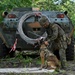 Saber Guardian 25: Urban Operations Training