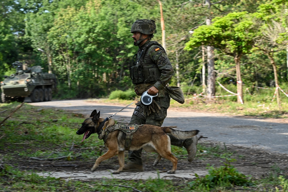 Saber Guardian 25: Urban Operations Training