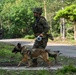 Saber Guardian 25: Urban Operations Training