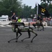 Army 250 Birthday Parade