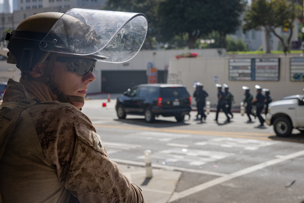 U.S. Marines, California Army National Guard, Department of Homeland Security guard federal building