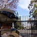 U.S. Marines guard federal building to assist California Army National Guard