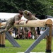 Army Birthday Festival Fitness Competition