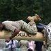 Army Birthday Festival Fitness Competition