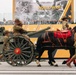 250th Army Birthday Parade