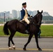 U.S. Army Soldiers, Equipment and Equestrian Teams Merge to Head to the Parade
