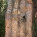 Jungle Leaders Course 2-25| Cliff Rappel