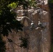 Jungle Leaders Course 2-25| Cliff Rappel