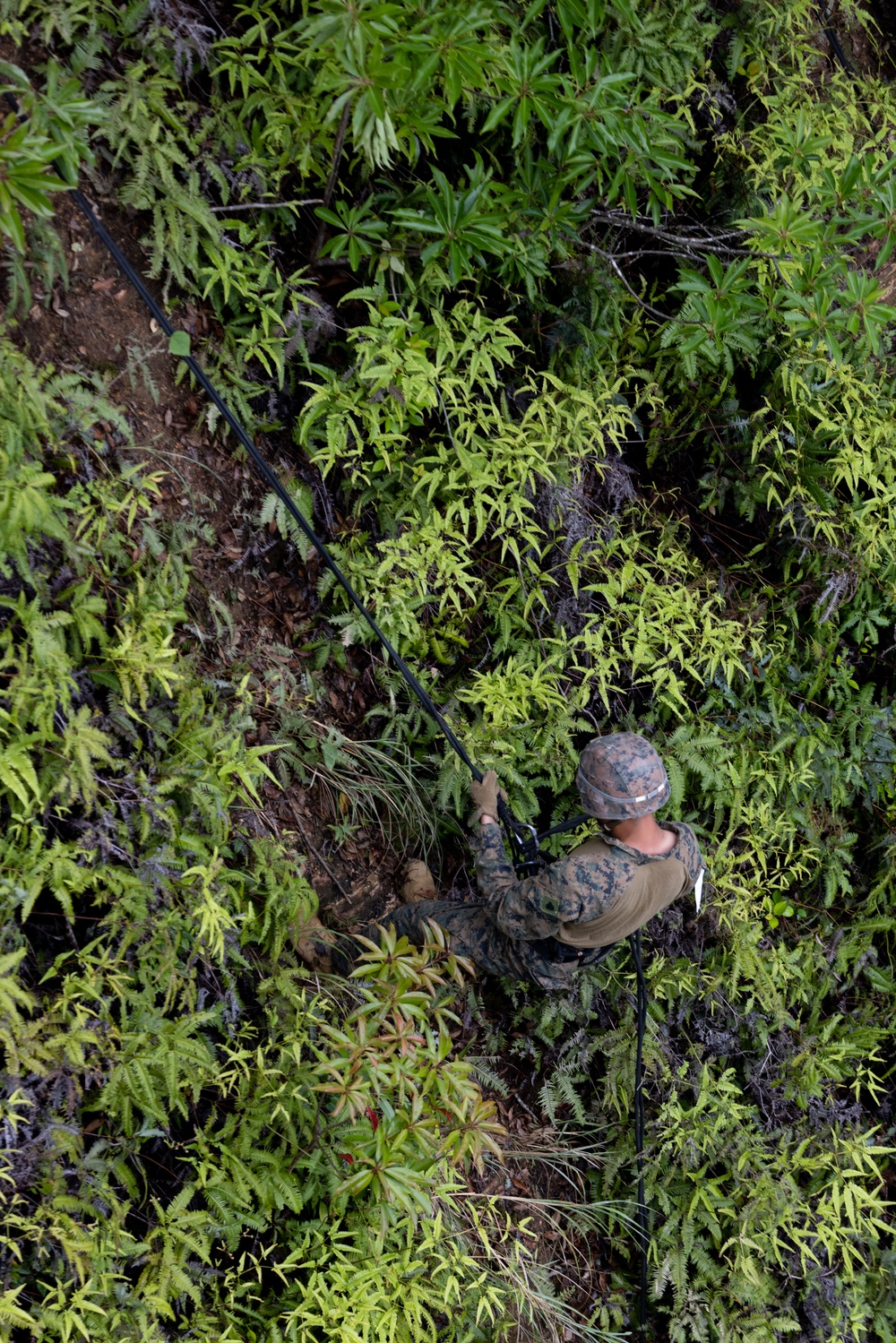 Jungle Leaders Course 2-25| Cliff Rappel