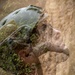 Jungle Leaders Course 2-25| Cliff Rappel