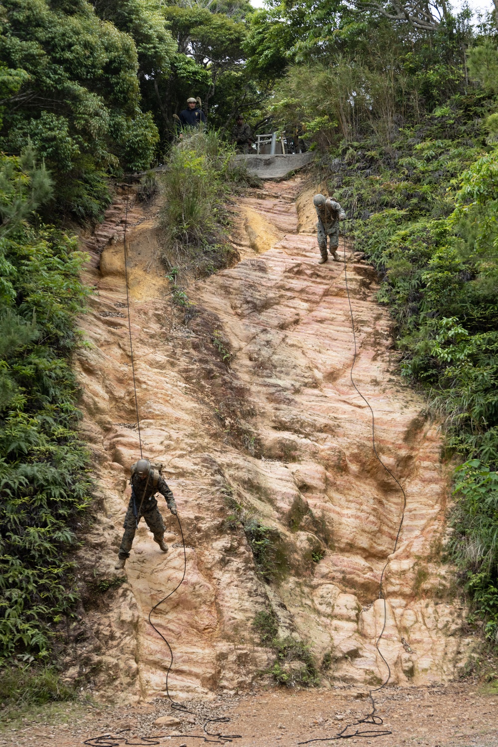 Jungle Leaders Course 2-25| Cliff Rappel