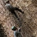 Jungle Leaders Course 2-25| Cliff Rappel