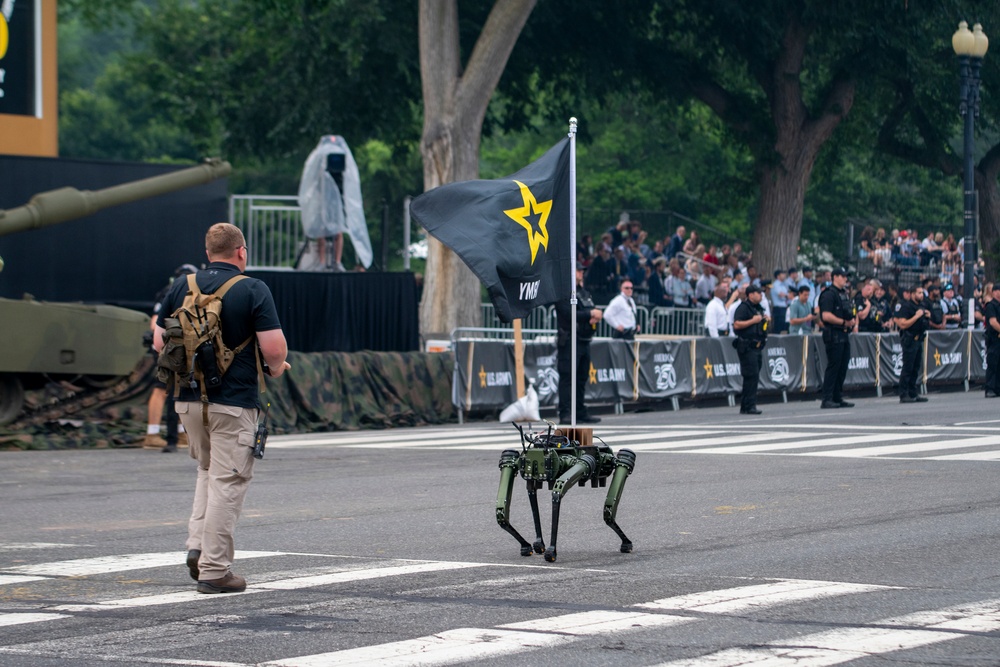 Army's 250th Birthday Parade
