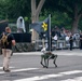 Army's 250th Birthday Parade