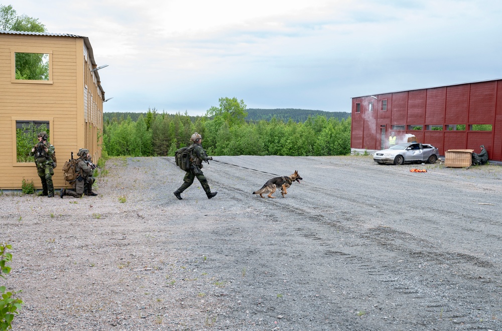 U.S. and Sweden conclude bilateral training