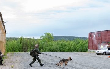 U.S. and Sweden conclude bilateral training