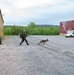 U.S. and Sweden conclude bilateral training