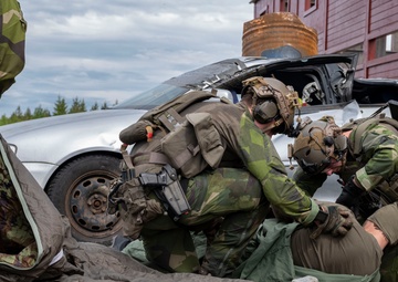 U.S. and Sweden conclude bilateral training