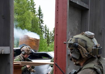 U.S. and Sweden conclude bilateral training