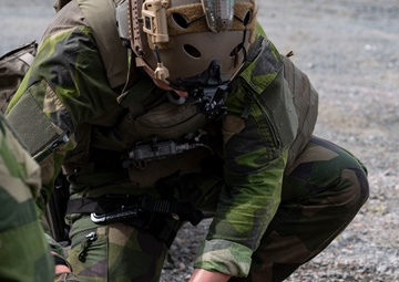 U.S. and Sweden conclude bilateral training