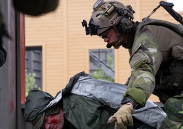 U.S. and Sweden conclude bilateral training