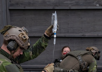 U.S. and Sweden conclude bilateral training