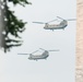 Army’s 250th Birthday Parade