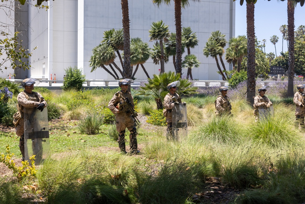 U.S. Marines guard federal building