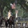 Army 250 Parade Celebration