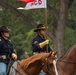 Army 250 Parade Celebration