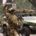 Army 250 Parade Celebration
