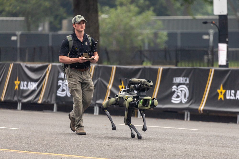 Army 250 Parade Celebration