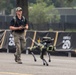 Army 250 Parade Celebration