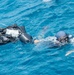 EODMU 5, RSN Naval Diving Unit Bi-lateral Training