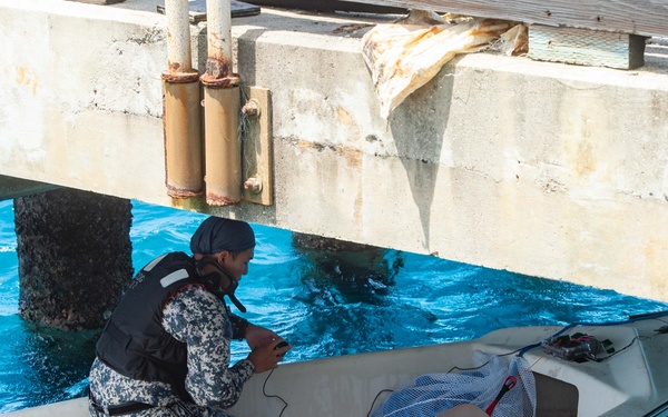EODMU 5, RSN Naval Diving Unit Bi-lateral Training
