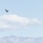 VMX-1 Takes Part in Black Flag